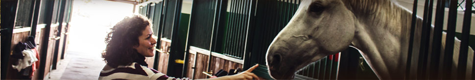 Banner2